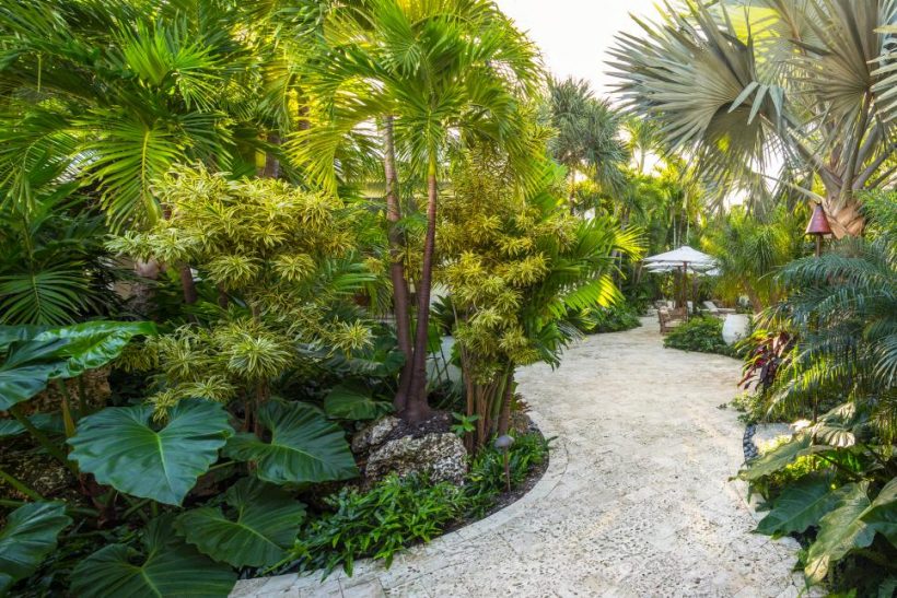Tropical Garden Oasis at Your Backyard