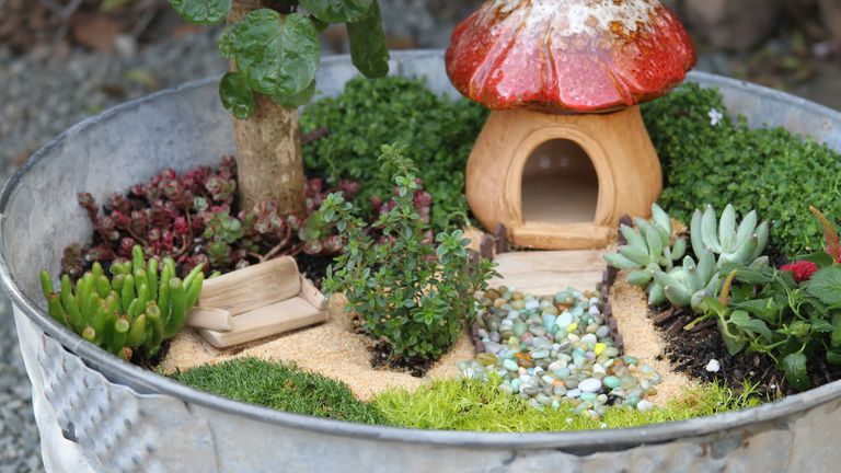 A Fairy Garden from a Wash Tub