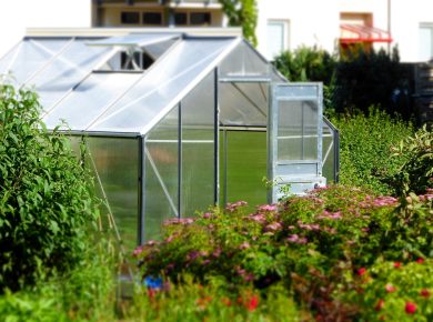 Small Greenhouse for Vegetables