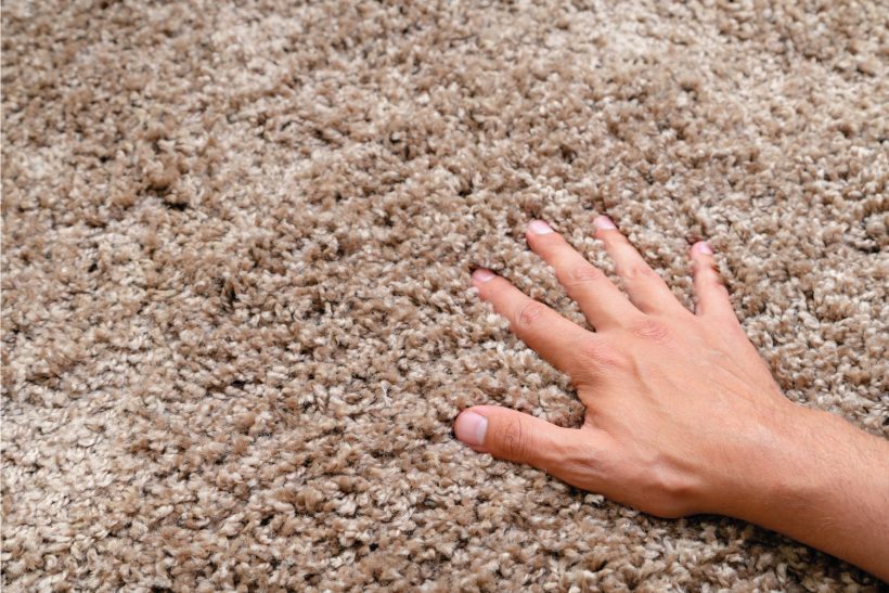 Types of Carpet