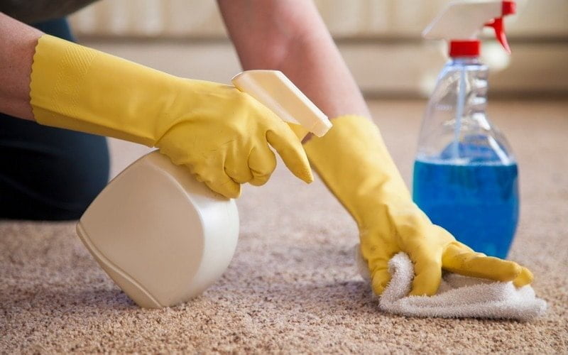 How to Get Wood Glue out of Carpet