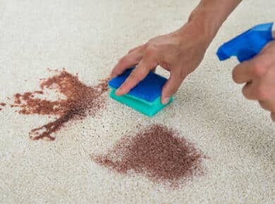 How to Get Blood Out of Carpet
