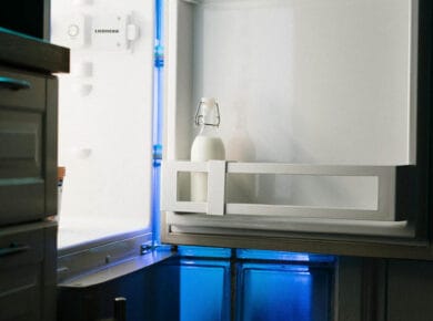 Freezer Not Working but Fridge Is